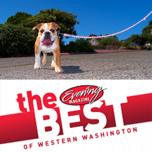 Sniff Seattle Best Dog Walker, Sniff Seattle Best Pet Sitting, 2014 Best Of Western Washington