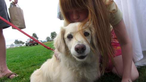 Pasado's Safe Haven, Bark At Marymoor Park, Sniff Seattle Dog Walkers