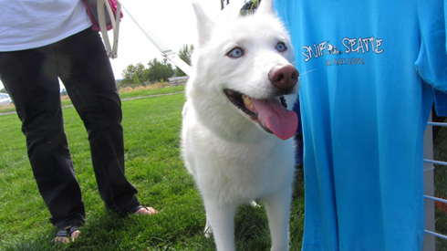 Pasado's Safe Haven, Bark At Marymoor Park, Sniff Seattle Mercer Island Dog Walkers