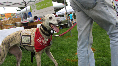 Pasado's Safe Haven, Bark At Marymoor Park, Sniff Seattle Bellevue Dog Walkers