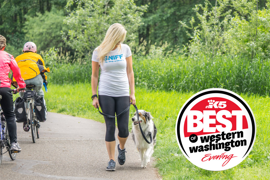 SNIFFdogblog From SNIFF Seattle Dog Walkers