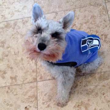 Otto, Sniff Seattle's Bow Wow Blue Friday