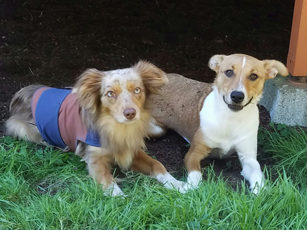 Piper And Cali