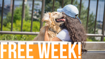 One Week Free Dog Walking Service
